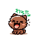 わんピース・にゃんピース LINEスタンプ1（個別スタンプ：32）