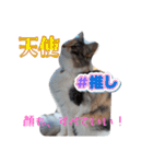 あすねこのスタンプ4（個別スタンプ：32）