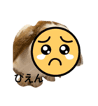 顔出しNGです。うさぎのフッくん（個別スタンプ：5）