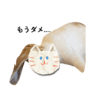 顔出しNGです。うさぎのフッくん（個別スタンプ：7）