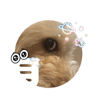 めるるのからだ（個別スタンプ：1）