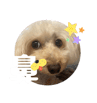 めるるのからだ（個別スタンプ：2）
