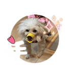 めるるのからだ（個別スタンプ：4）
