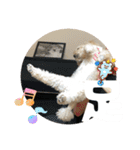 めるるのからだ（個別スタンプ：5）