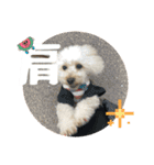 めるるのからだ（個別スタンプ：6）
