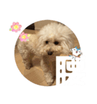 めるるのからだ（個別スタンプ：7）