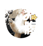 めるるのからだ（個別スタンプ：13）