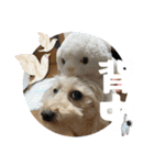 めるるのからだ（個別スタンプ：14）