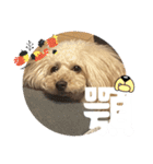 めるるのからだ（個別スタンプ：15）