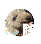めるるのからだ（個別スタンプ：16）