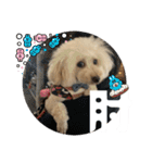 めるるのからだ（個別スタンプ：17）