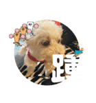 めるるのからだ（個別スタンプ：19）