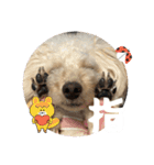 めるるのからだ（個別スタンプ：20）