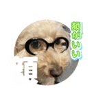 めるるのからだ（個別スタンプ：22）