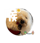 めるるのからだ（個別スタンプ：23）