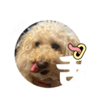 めるるのからだ（個別スタンプ：24）