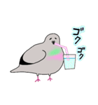モコモコなハトさん2 (夏)（個別スタンプ：1）