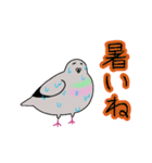 モコモコなハトさん2 (夏)（個別スタンプ：2）