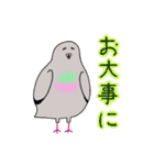 モコモコなハトさん2 (夏)（個別スタンプ：12）