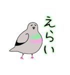 モコモコなハトさん2 (夏)（個別スタンプ：13）