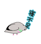 モコモコなハトさん2 (夏)（個別スタンプ：19）