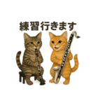 バスクラが大好きな猫（個別スタンプ：2）