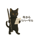 バスクラが大好きな猫（個別スタンプ：8）