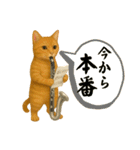 バスクラが大好きな猫（個別スタンプ：9）