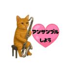 バスクラが大好きな猫（個別スタンプ：11）