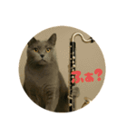 バスクラが大好きな猫（個別スタンプ：19）