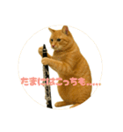 バスクラが大好きな猫（個別スタンプ：21）