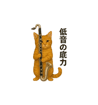 バスクラが大好きな猫（個別スタンプ：22）