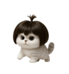 かわいい子猫のお団子ヘア （NT）（個別スタンプ：8）