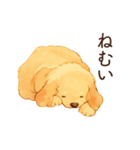 恋人が好きすぎるかまってちゃん犬（個別スタンプ：19）