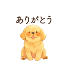 恋人が好きすぎるかまってちゃん犬（個別スタンプ：21）