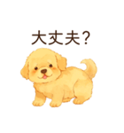 恋人が好きすぎるかまってちゃん犬（個別スタンプ：25）