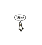 小さい白馬(フキダシ)（個別スタンプ：15）