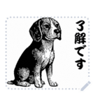 犬の メッセージ スタンプ 06（個別スタンプ：2）