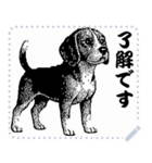 犬の メッセージ スタンプ 06（個別スタンプ：3）