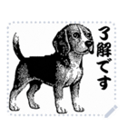 犬の メッセージ スタンプ 06（個別スタンプ：4）