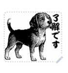 犬の メッセージ スタンプ 06（個別スタンプ：5）