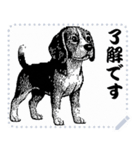 犬の メッセージ スタンプ 06（個別スタンプ：6）