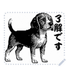 犬の メッセージ スタンプ 06（個別スタンプ：9）