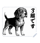犬の メッセージ スタンプ 06（個別スタンプ：10）
