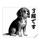犬の メッセージ スタンプ 06（個別スタンプ：12）