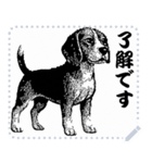 犬の メッセージ スタンプ 06（個別スタンプ：13）