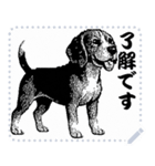 犬の メッセージ スタンプ 06（個別スタンプ：15）