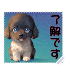 子犬の メッセージ スタンプ 26（個別スタンプ：6）