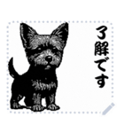 犬の メッセージ スタンプ 16（個別スタンプ：4）