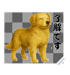 犬の メッセージ スタンプ 46（個別スタンプ：1）